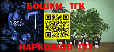 амф Коммунар