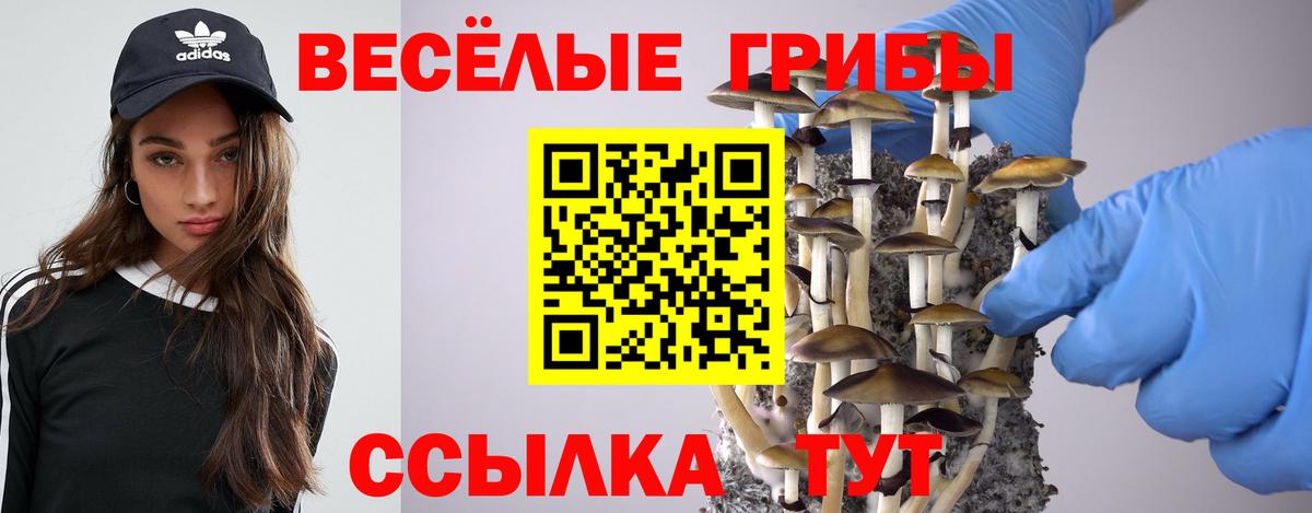 Королёв  Псилоцибиновые грибы MAGIC MUSHROOMS  Псилоцибиновые грибы мухоморы  Вход с VPN 